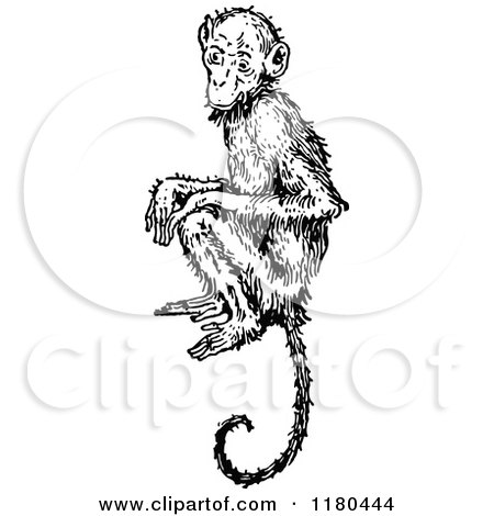 Clipart of a Retro Vintage Black and White Monkey - Royalty Free Vector Illustration by Prawny Vintage