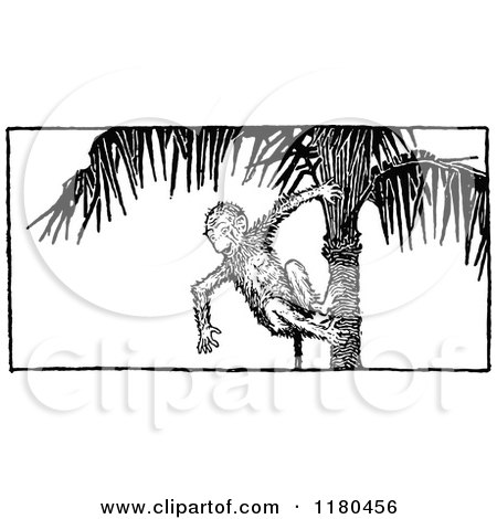 Clipart of a Retro Vintage Black and White Monkey in a Palm Tree - Royalty Free Vector Illustration by Prawny Vintage