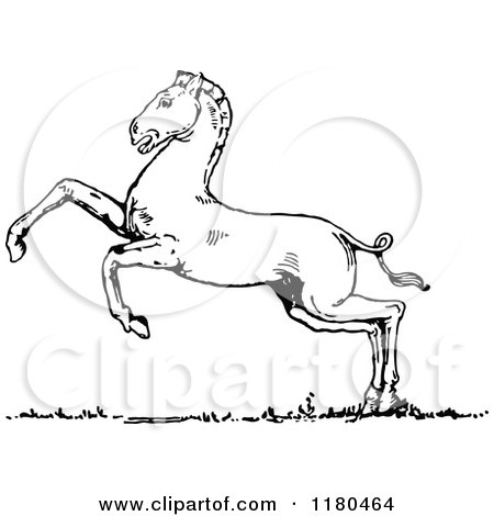 Clipart of a Retro Vintage Black and White Horse Rearing - Royalty Free Vector Illustration by Prawny Vintage
