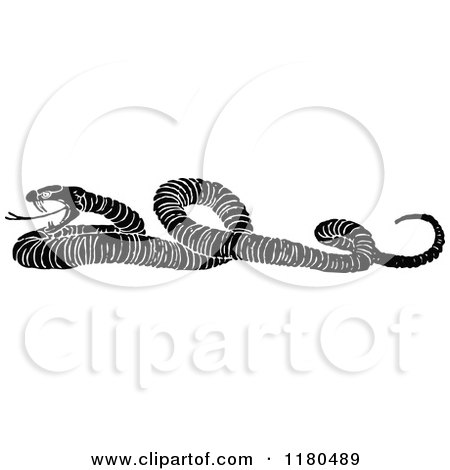Clipart of a Retro Vintage Black and White Snake - Royalty Free Vector Illustration by Prawny Vintage