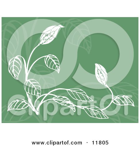 Green and White Floral Background Clipart Illustration by AtStockIllustration
