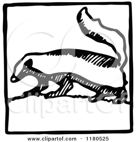 Clipart of a Black and White Skunk Icon - Royalty Free Vector Illustration by Prawny Vintage