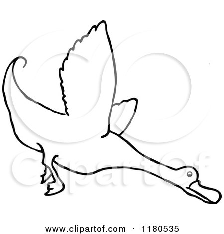 Clipart of a Black and White Flying Duck - Royalty Free Vector Illustration by Prawny Vintage