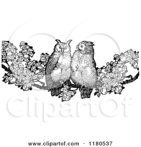 Clipart of Retro Vintage Black and White Owls on a Branch - Royalty Free Vector Illustration by Prawny Vintage