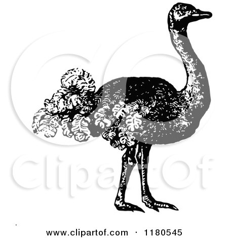Clipart of a Retro Vintage Black and White Ostrich - Royalty Free Vector Illustration by Prawny Vintage