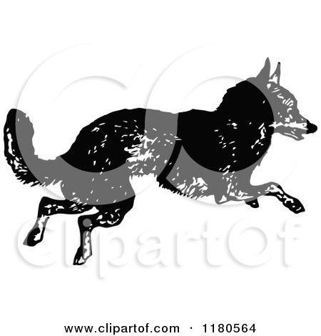 Clipart of a Retro Vintage Black and White Fox Running - Royalty Free Vector Illustration by Prawny Vintage