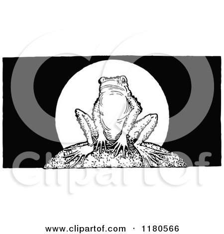 Clipart of a Retro Vintage Black and White Bullfrog - Royalty Free Vector Illustration by Prawny Vintage