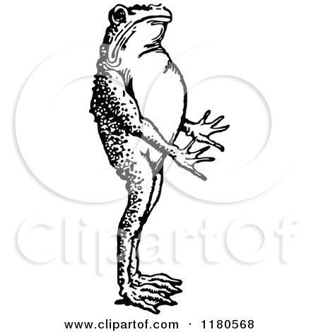 Clipart of a Retro Vintage Black and White Bullfrog Standing - Royalty Free Vector Illustration by Prawny Vintage