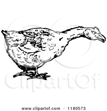 Clipart of a Retro Vintage Black and White Duck - Royalty Free Vector Illustration by Prawny Vintage
