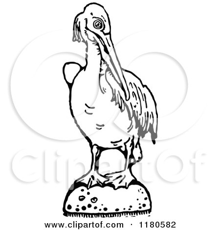 Clipart of a Retro Vintage Black and White Pelican - Royalty Free Vector Illustration by Prawny Vintage