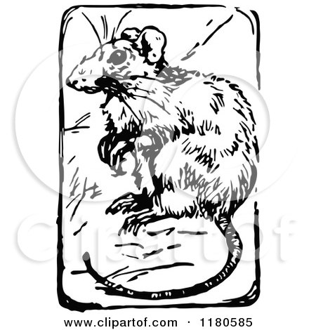 Clipart of a Retro Vintage Black and White Mouse - Royalty Free Vector Illustration by Prawny Vintage