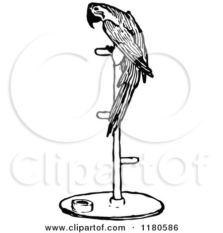 Clipart of a Retro Vintage Black and White Parrot on a Perch - Royalty Free Vector Illustration by Prawny Vintage