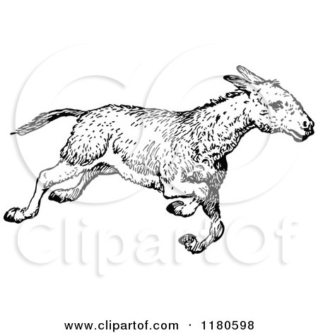 Clipart of a Retro Vintage Black and White Donkey Running - Royalty Free Vector Illustration by Prawny Vintage