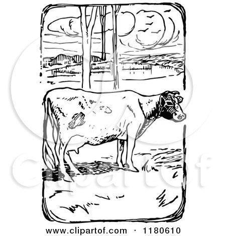 Clipart of a Retro Vintage Black and White Cow in a Pasture - Royalty Free Vector Illustration by Prawny Vintage