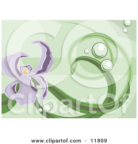 Purple Iris Background on Green Clipart Illustration by AtStockIllustration