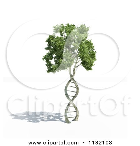 Clipart of a 3d DNA Tree and Shadow on White - Royalty Free CGI Illustration by Mopic
