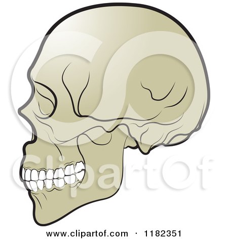 Clipart of a Human Skull in Profile - Royalty Free Vector Illustration by Lal Perera