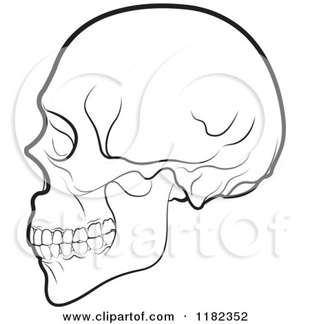 Clipart of a Black and White Human Skull in Profile - Royalty Free Vector Illustration by Lal Perera