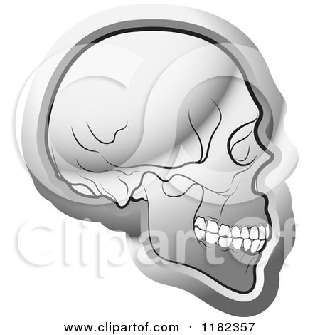 Clipart of a Silver Human Skull in Profile - Royalty Free Vector Illustration by Lal Perera