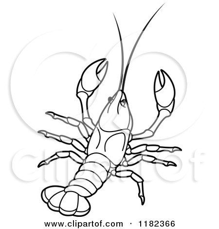 Clipart of an Outlined Crayfish - Royalty Free Vector Illustration by Lal Perera