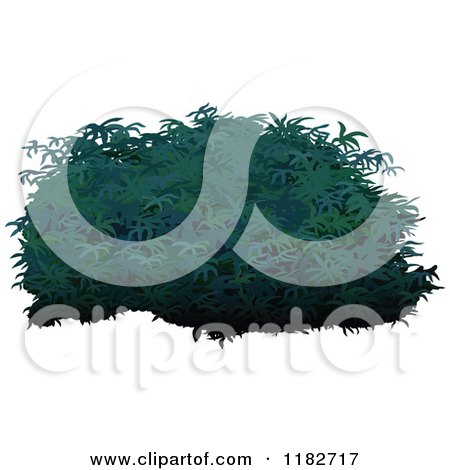 Clipart of a Lush Green Shrub - Royalty Free Vector Illustration by dero
