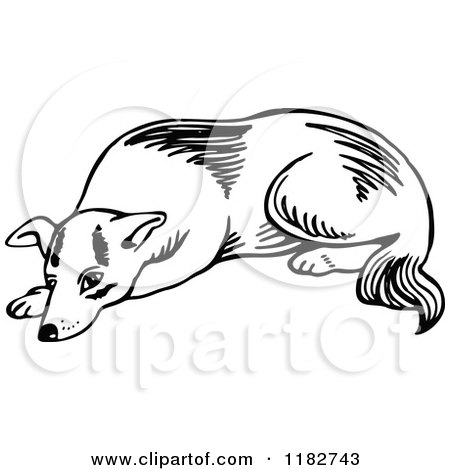 Clipart of a Black and White Resting Dog - Royalty Free Vector Illustration by Prawny