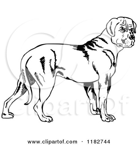 Clipart of a Black and White Standing Dog - Royalty Free Vector Illustration by Prawny