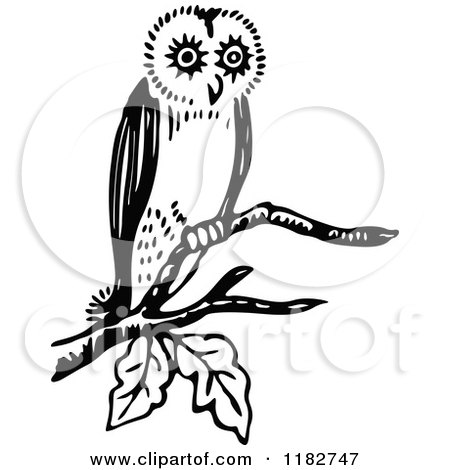 Clipart of a Black and White Perched Owl - Royalty Free Vector Illustration by Prawny