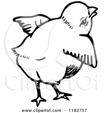 Clipart of a Black and White Chick 4 - Royalty Free Vector Illustration by Prawny
