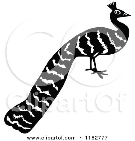 Clipart of a Black and White Peacock 2 - Royalty Free Vector Illustration by Prawny