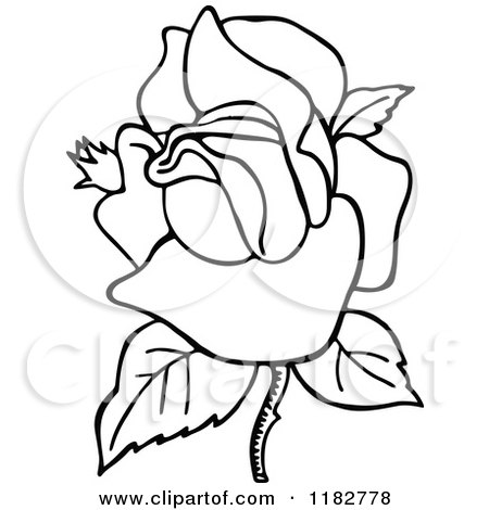 Clipart of a Black and White Blooming Rose - Royalty Free Vector Illustration by Prawny