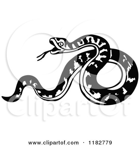 Clipart of a Black and White Aggressive Snake - Royalty Free Vector Illustration by Prawny