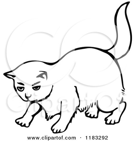 Clipart of a Black and White Cat 3 - Royalty Free Vector Illustration by Prawny
