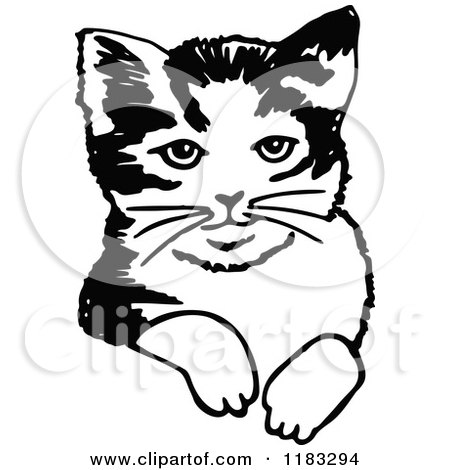 Clipart of a Black and White Cat - Royalty Free Vector Illustration by Prawny