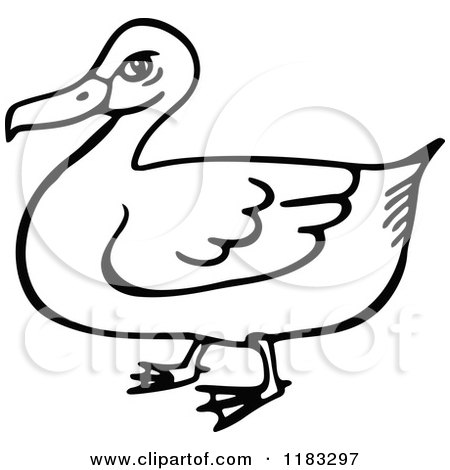 Clipart of a Black and White Duck - Royalty Free Vector Illustration by Prawny