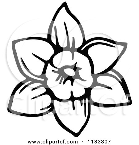 Clipart of a Black and White Daffodil Flower - Royalty Free Vector Illustration by Prawny