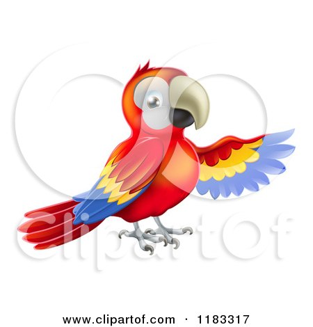 Cartoon of a Presenting Scarlet Macaw Parrot 1 - Royalty Free Vector Clipart by AtStockIllustration