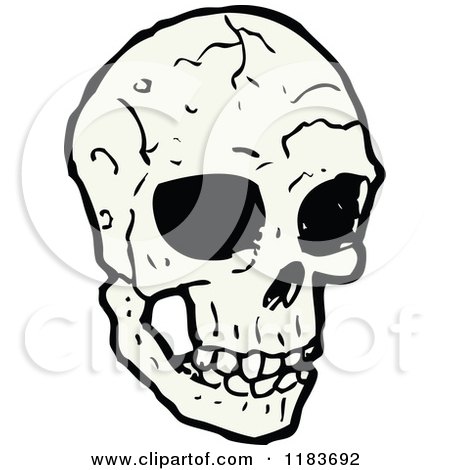 Cartoon of a Skull - Royalty Free Vector Illustration by lineartestpilot