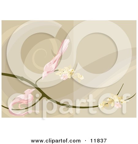 Two Pink Birds Perched on a Branch With Blossoms Clipart Illustration by AtStockIllustration