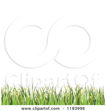 Clipart of a Background of White Copyspace with Grass and Spring Flowers - Royalty Free Vector Illustration by vectorace