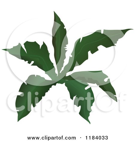 Clipart of a Tropical Plant - Royalty Free Vector Illustration by dero