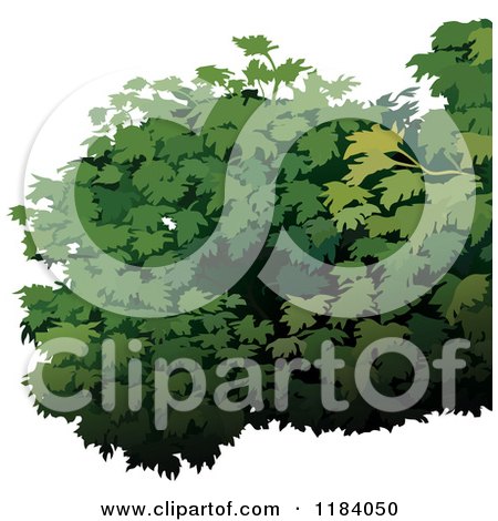 Clipart of a Green Shrub - Royalty Free Vector Illustration by dero