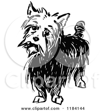 Clipart of a Black and White Terrier Dog - Royalty Free Vector Illustration by Prawny Vintage