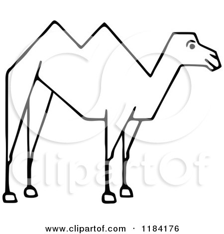 Clipart of a Sketched Black and White Camel - Royalty Free Vector Illustration by Prawny Vintage