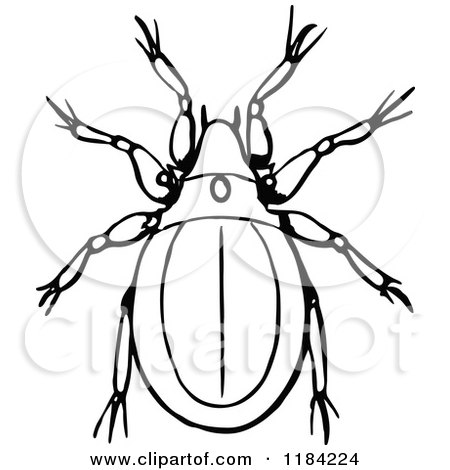 Clipart of a Black and White Mite - Royalty Free Vector Illustration by Prawny Vintage