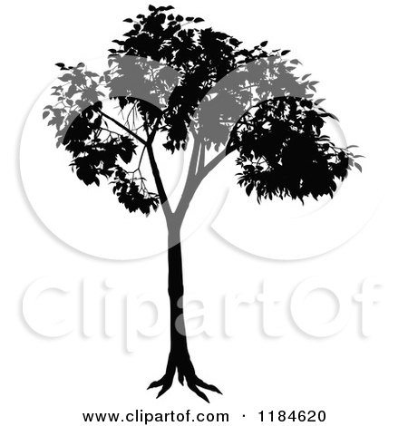 Clipart of a Silhouetted Tree - Royalty Free Vector Illustration by dero