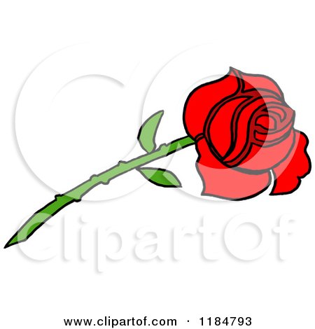 Cartoon of a Long Stemmed Red Rose - Royalty Free Vector Clipart by LaffToon