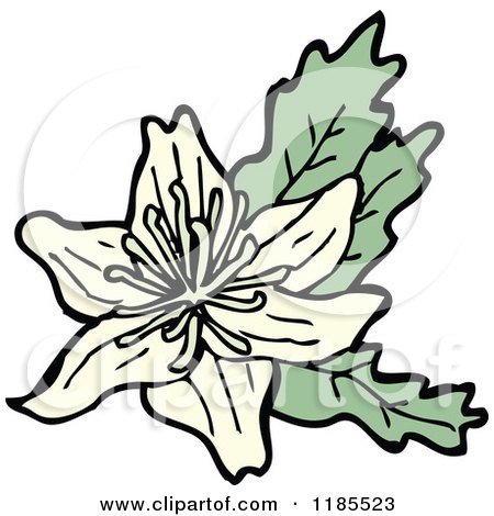 Clipart of a Wildflower - Royalty Free Vector Illustration by lineartestpilot