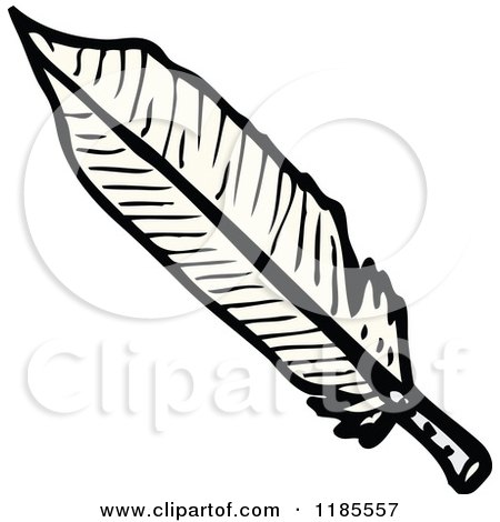 Cartoon of a Bird's Feather - Royalty Free Vector Illustration by lineartestpilot