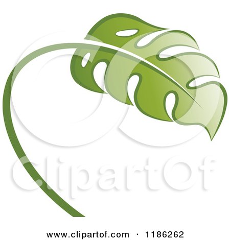 Clipart of a Swiss Cheese Plant - Royalty Free Vector Illustration by Lal Perera